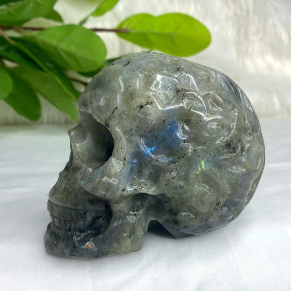 Labradorite Skull 616g - Jayde Aura
